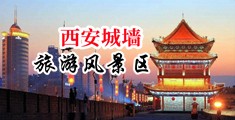 操逼视频免费网站性爱中国陕西-西安城墙旅游风景区